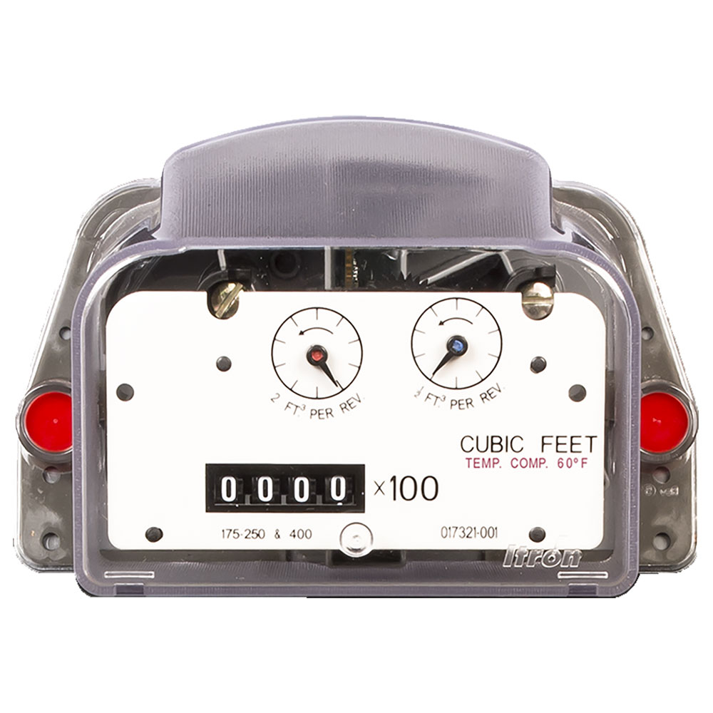 itron 100G ERT Module